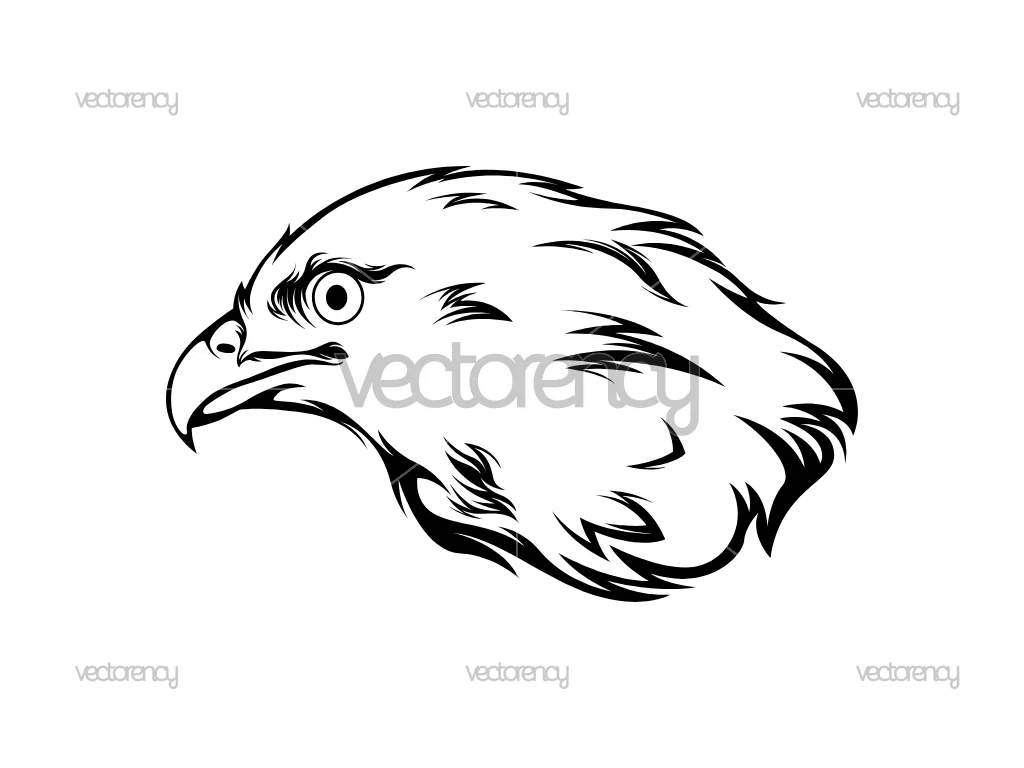 Eagle Brown SVG Outline