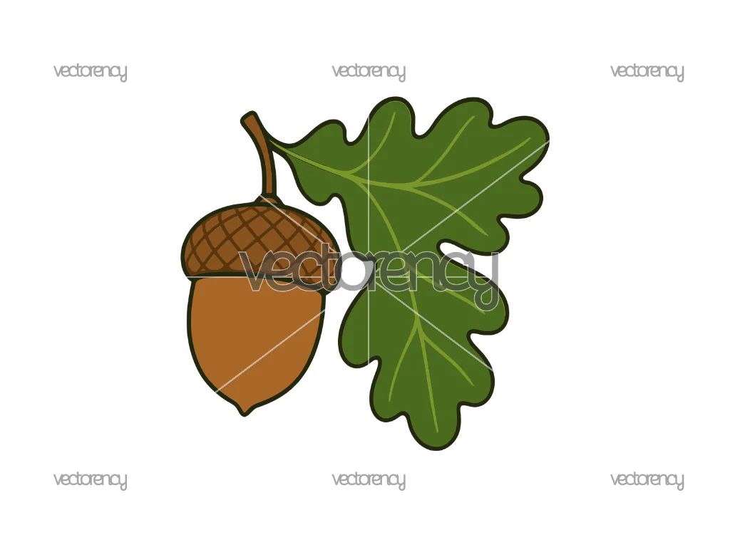 Acorn With Leaf PNG Clipart