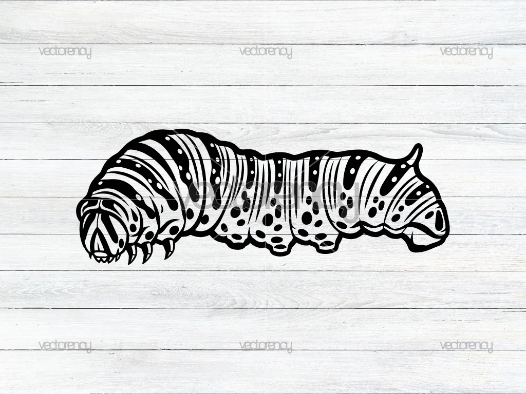 Swallow Tail Caterpillar Vector