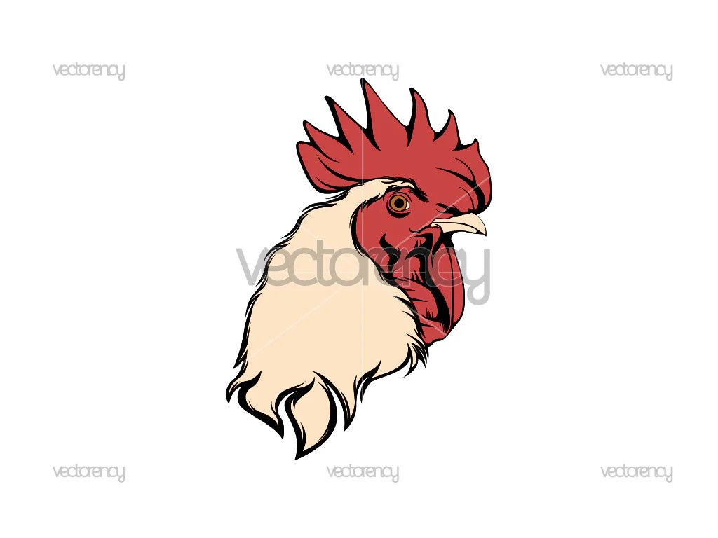 Rooster’s Head Illustration Vector Clipart