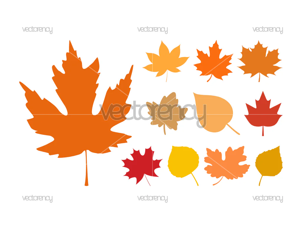 Autumn Fall Leaves Silhouette SVG