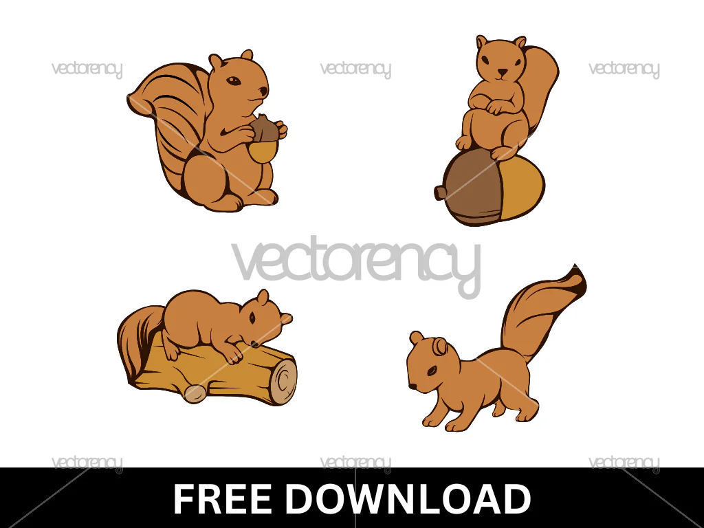 4 Squirrel Illustration Vector Free Download