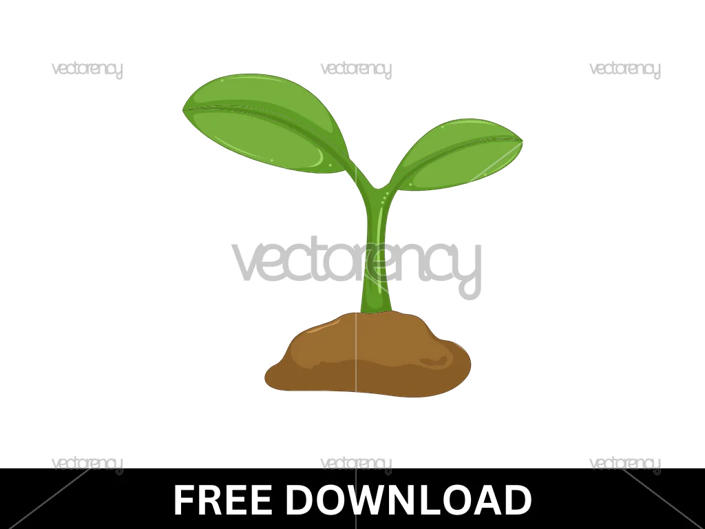 Plant Clipart Image Free Download
