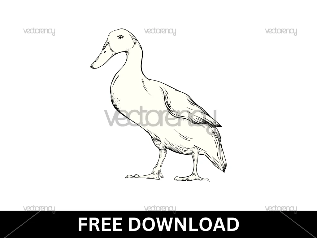 Duck SVG Free