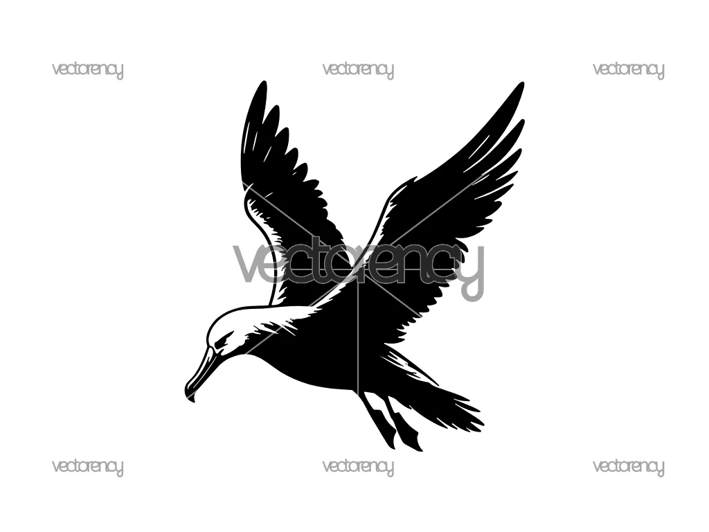 Albatross SVG