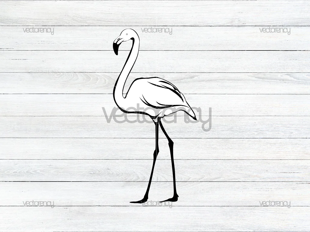 Flamingo Vector EPS SVG Download