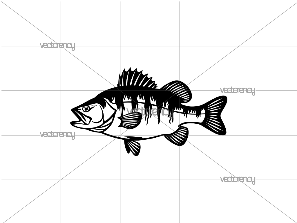 Perch Fish SVG