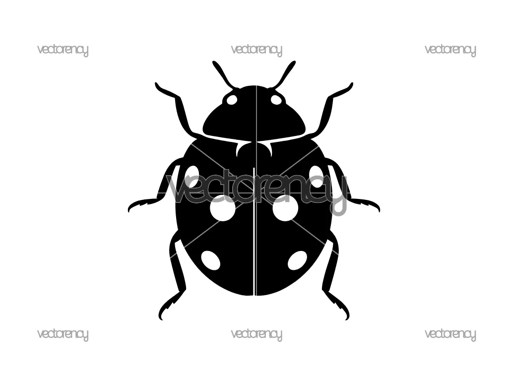 Insect Ladybug SVG