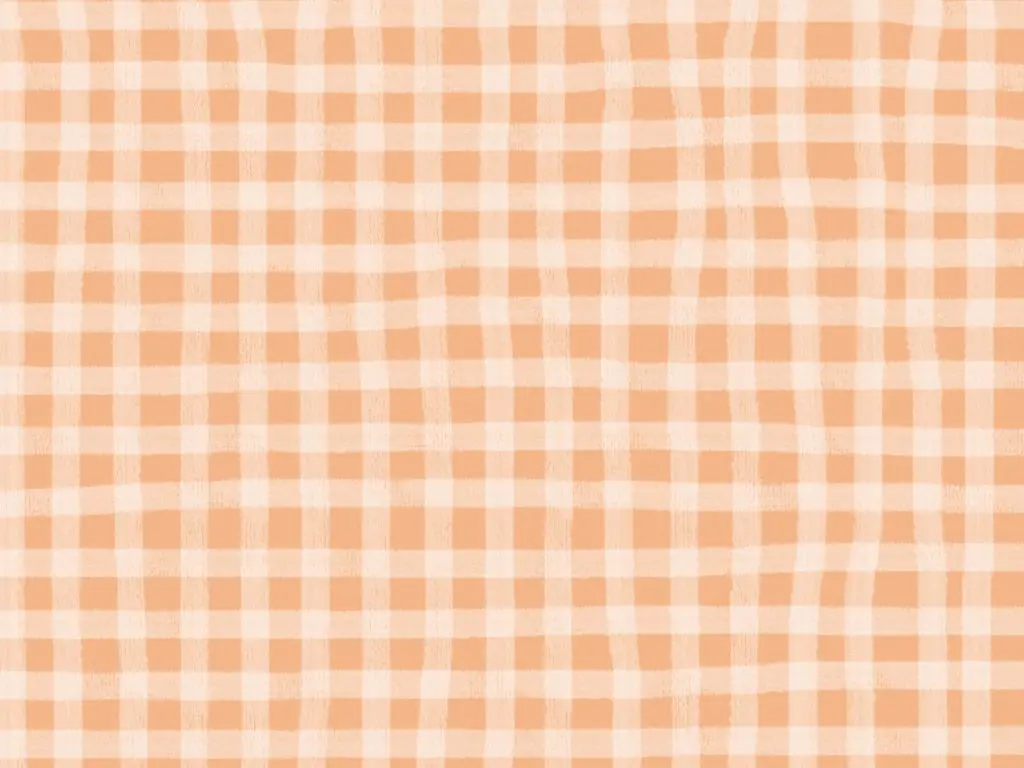 Gingham Check Mini Pattern in Peach