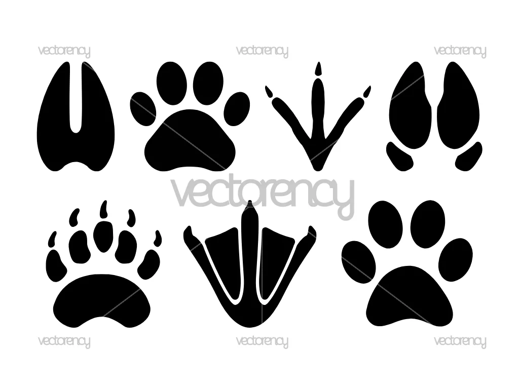 Pet Paw Print SVG Bundle SVG PNG EPS DXF Clipart