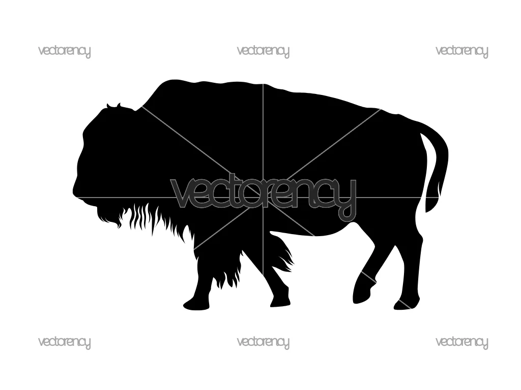 Bisson Silhouette Vector SVG