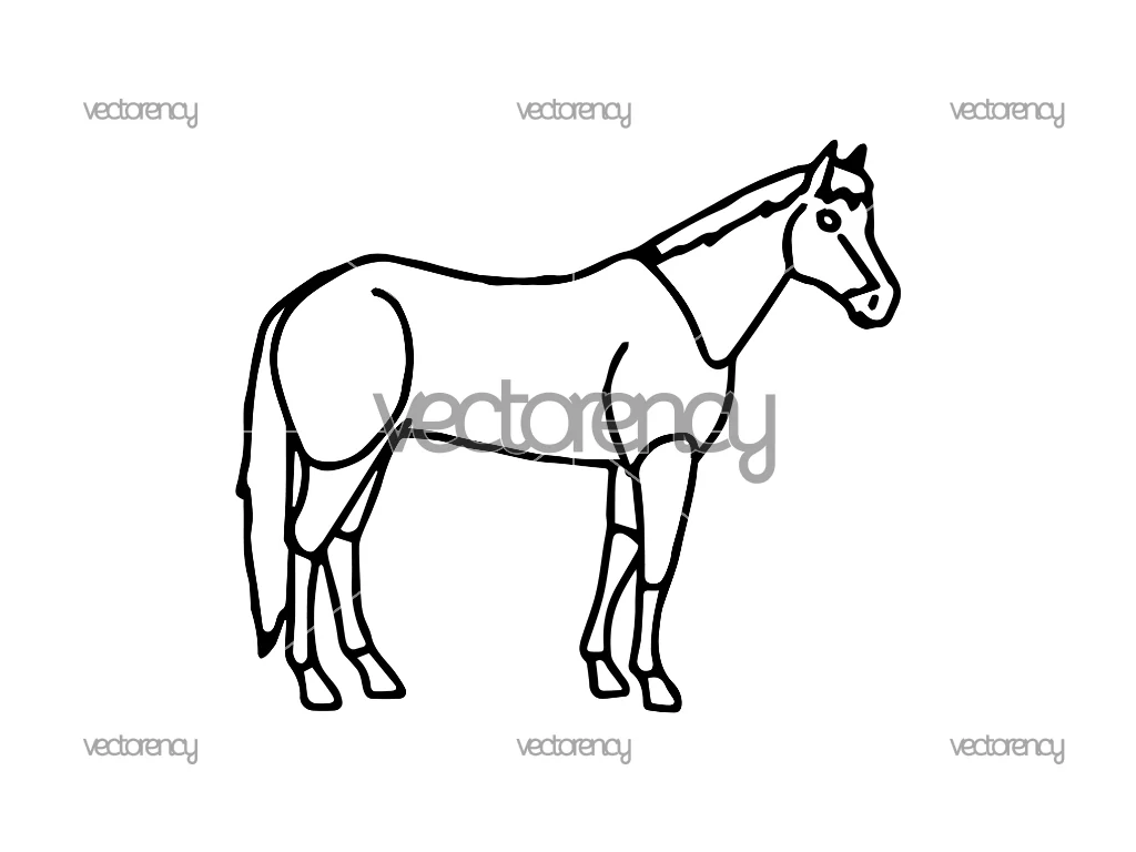 Horse Outline PNG
