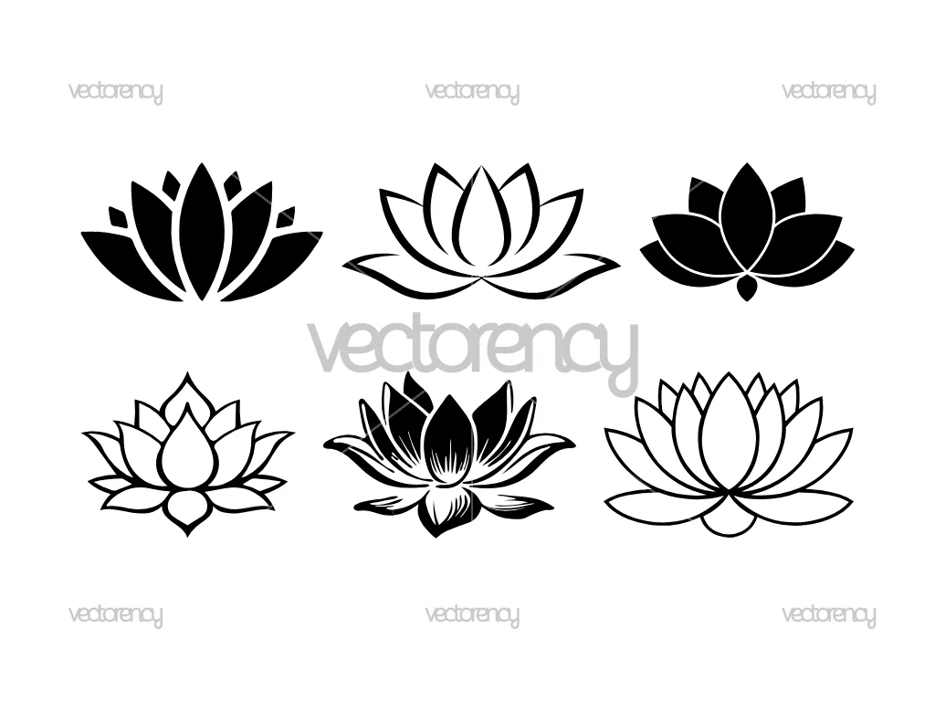 Lotus Flowers Set Bundle Clipart SVG PNG EPS DXF