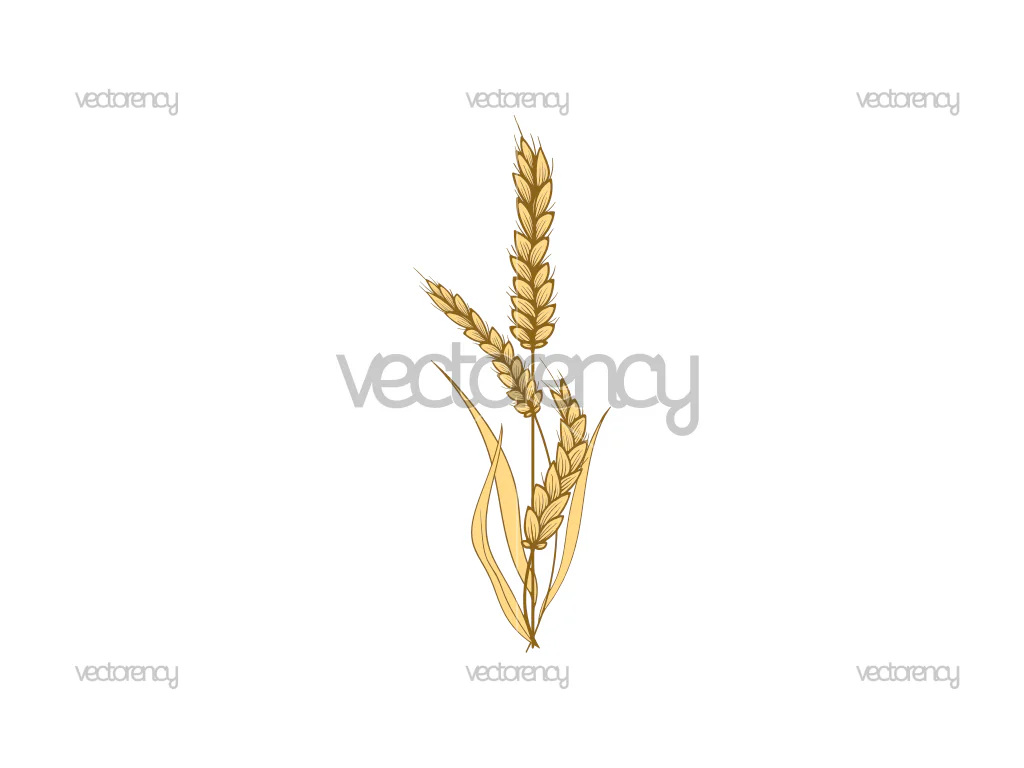Wheat Clipart SVG PNG