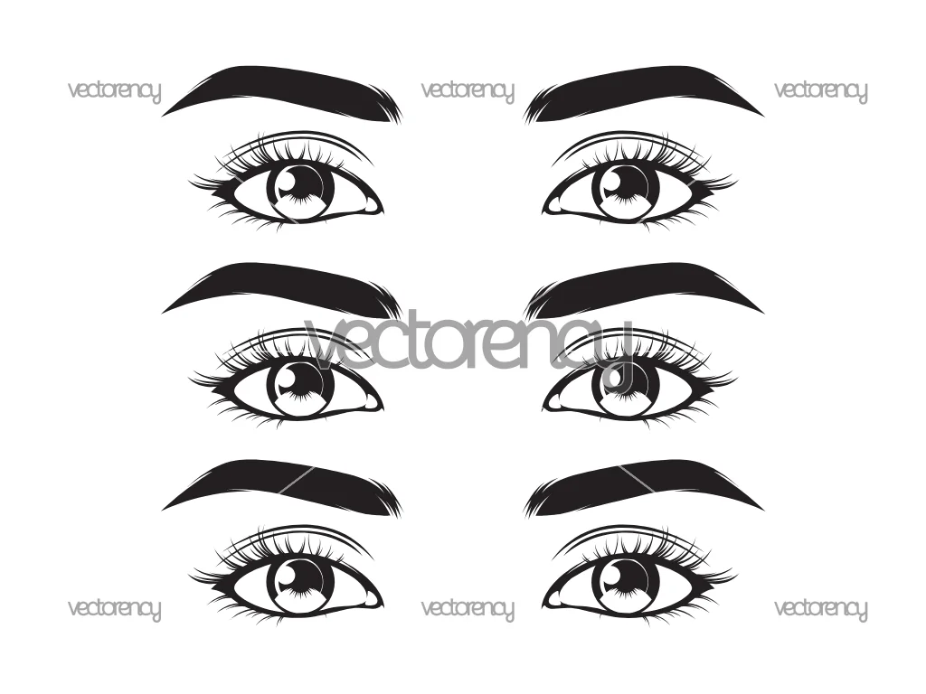 Eyes Brow Vector SVG PNG EPS DXF
