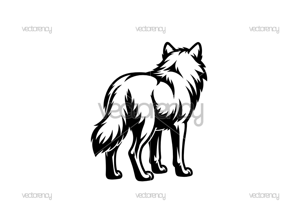 Illustration Wolf Vector Clipart