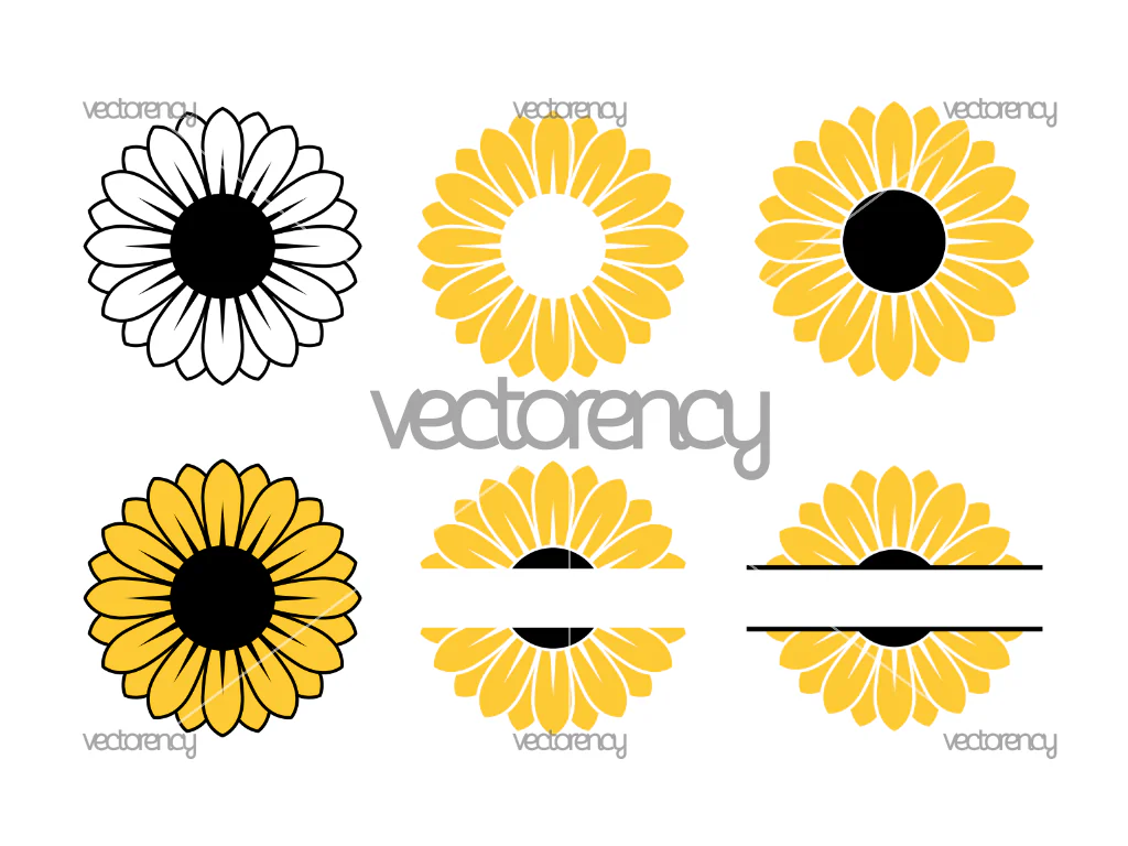 6 Sunflower Monogram, Frame Vector PNG