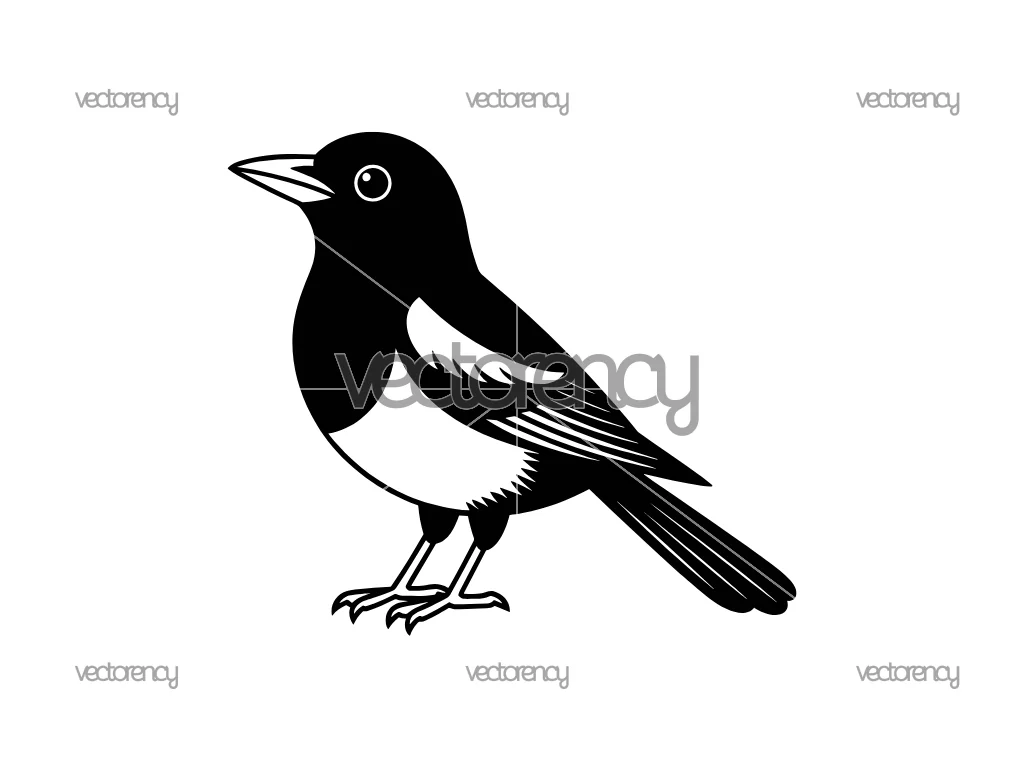 Magpie SVG Vector Image