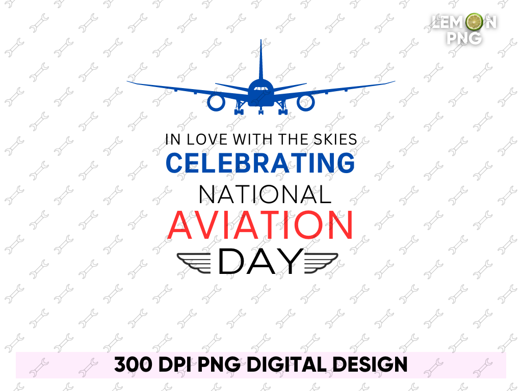 In Love with the Skies Celebrating National Aviation Day Shirt Free