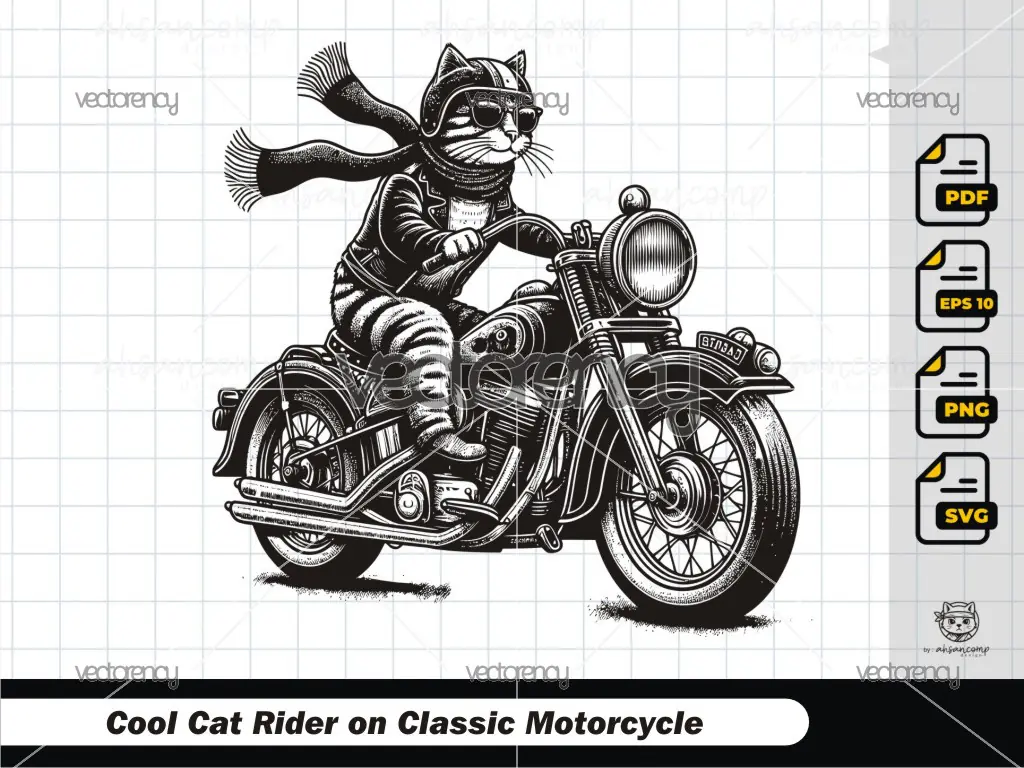 Cool Cat Rider on Classic Motorcycle 4
