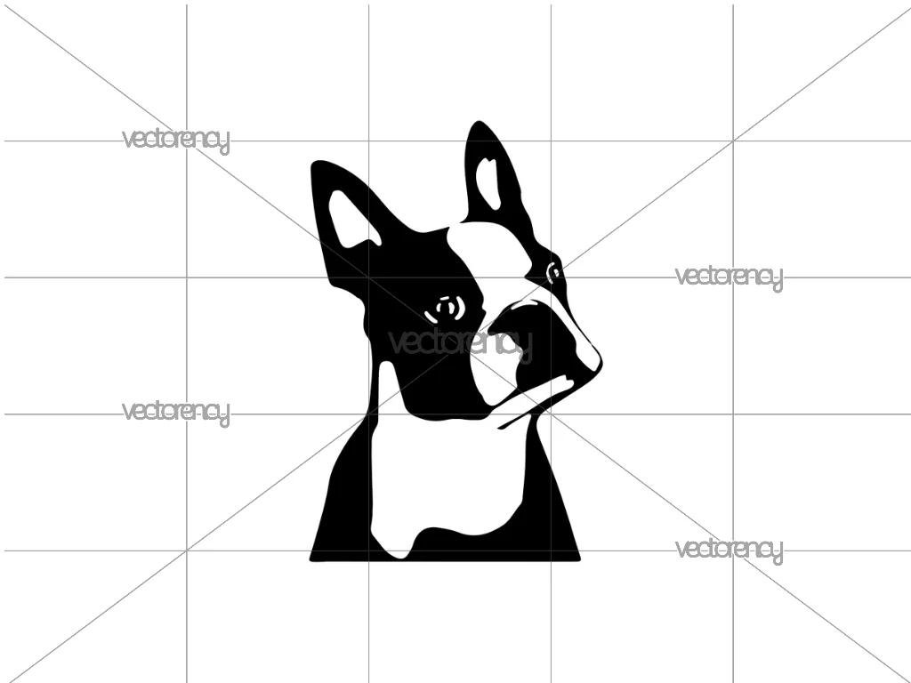 Boston Terrier Dog SVG Free