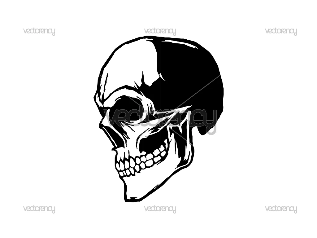 Wicked Skull Skeleton Bones Head Vector